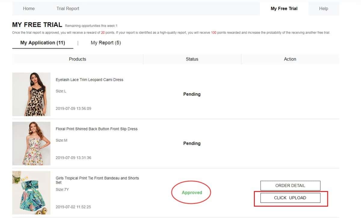 Feedback submission interface in My Report